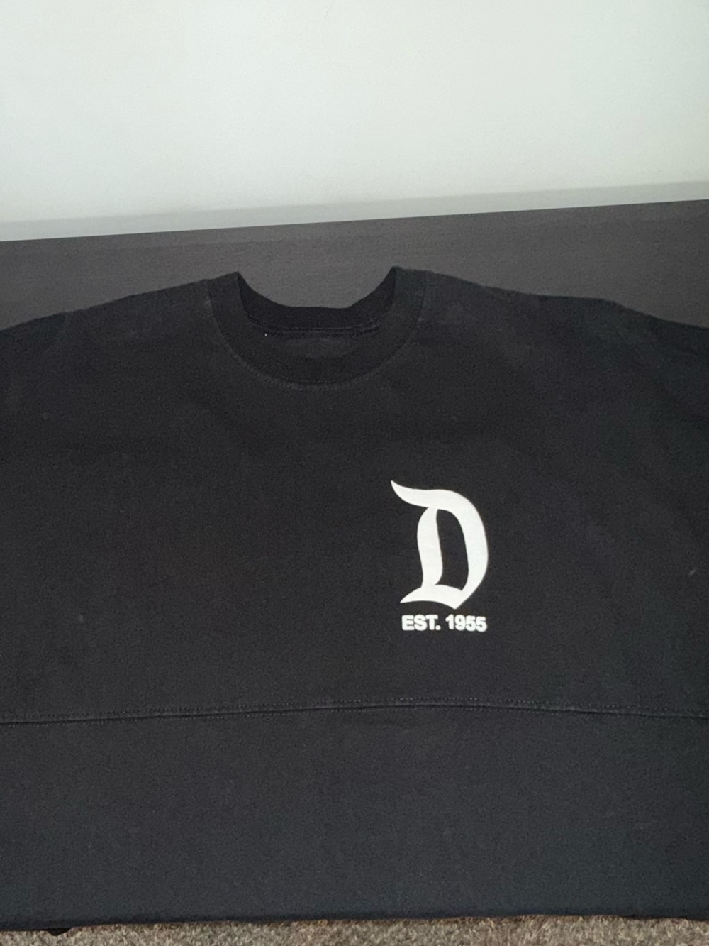 Spirit Disney Jersey - Picture 4 of 6